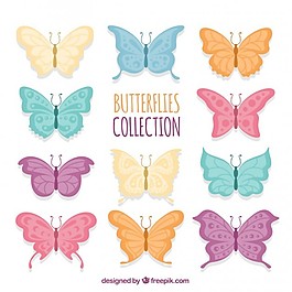 各種顏色的蝴蝶