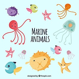 海上的生活收藏