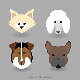 犬種頭像收藏