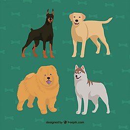 手拉犬品種收藏