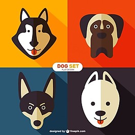 犬種的扁平式
