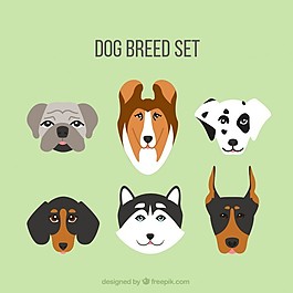 犬種在平面設計中的繁殖