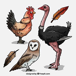 手繪鳥包