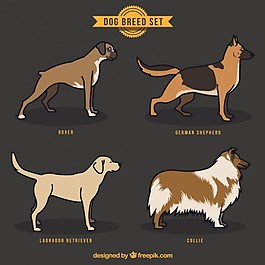 手拉犬種集合