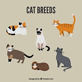 可愛(ài)的貓犬