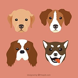犬種犬種