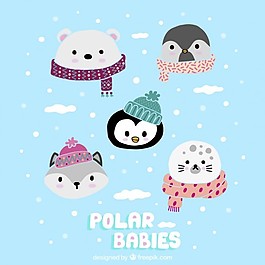可愛的北極的嬰兒