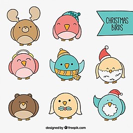 多彩的圣誕鳥(niǎo)圖標(biāo)集