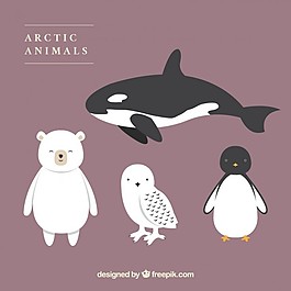 可愛的北極動(dòng)物