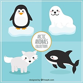 北極動物的集合