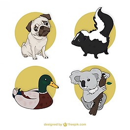 可愛的動(dòng)物收藏