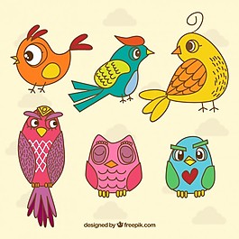 手工繪制的鳥收藏