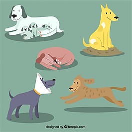 可爱的狗的插图