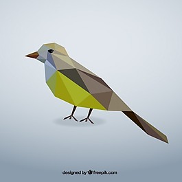 多邊形的鳥