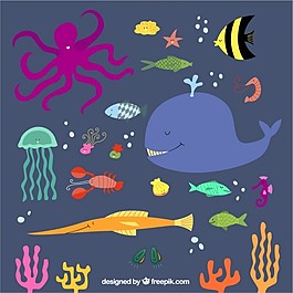 可爱的海洋动物
