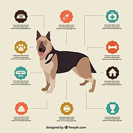 狗的信息圖表