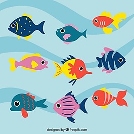 海上的生活
