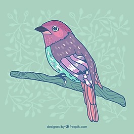 手繪的鳥