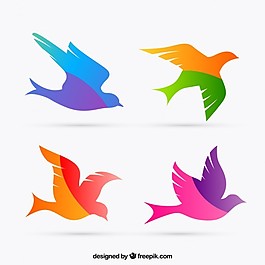 色彩鮮艷的鳥的剪影