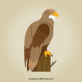 鷹的插圖