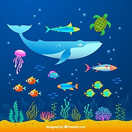 海洋動物
