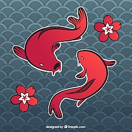 錦鯉魚