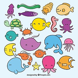 可愛的海洋生物