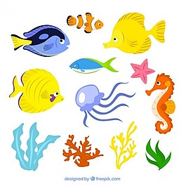 海洋生命的插圖