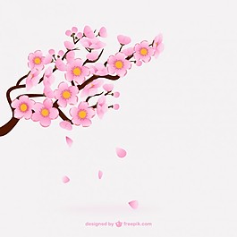 粉色的櫻花