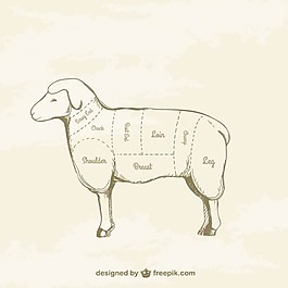 羊肉图