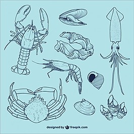 海洋生命的插圖