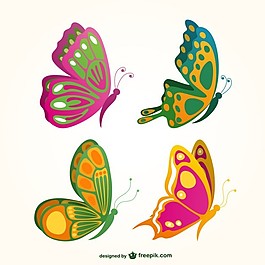 蝴蝶收藏