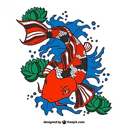 錦鯉魚(yú)
