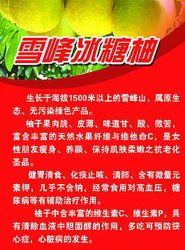 雪峰冰糖柚圖片