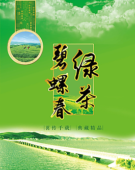 碧螺春綠茶圖片
