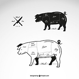 豬肉圖