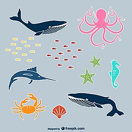 海洋動(dòng)物