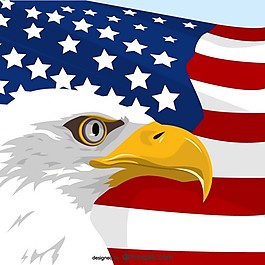 鹰的翅膀美国的白头鹰爱国主题矢量白头鹰美国宪法日矢量插画鹰标志