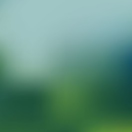 抽象模糊森林背景
