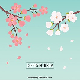 手繪櫻花的顏色