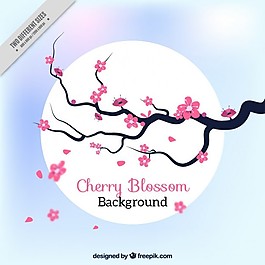 可愛的櫻花樹有花的背景