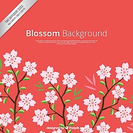 红blosom背景