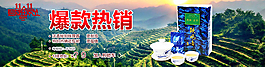 铁观音热销海报