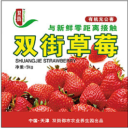草莓标签