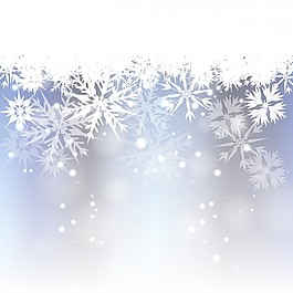 背景虛化的背景，白色的雪花