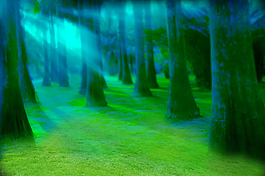 魔幻森林背景