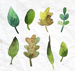 8款水彩树叶矢量素材