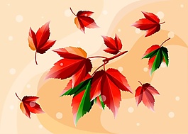 鮮花花邊矢量圖素材