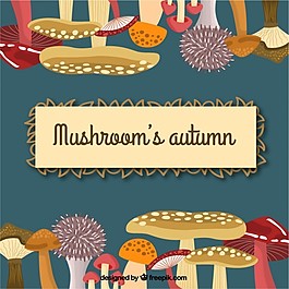 蘑菇的秋天