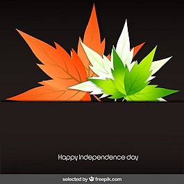 印度獨(dú)立日卡
